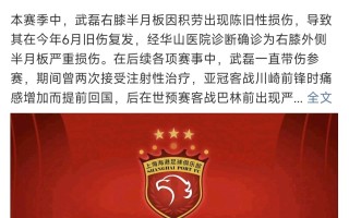 雷速官网-重要球员受伤！球队应对策略需即时调整